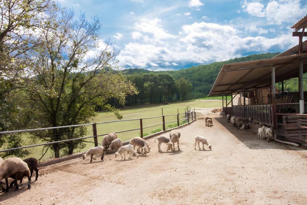 Photo of Others in La Vall de Bianya