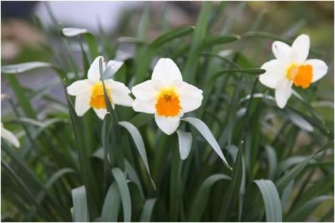 Photo of Outdoor in Marais-Vernier