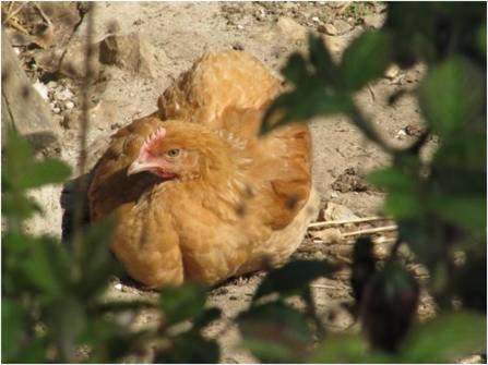 Photo of Others in Marais-Vernier