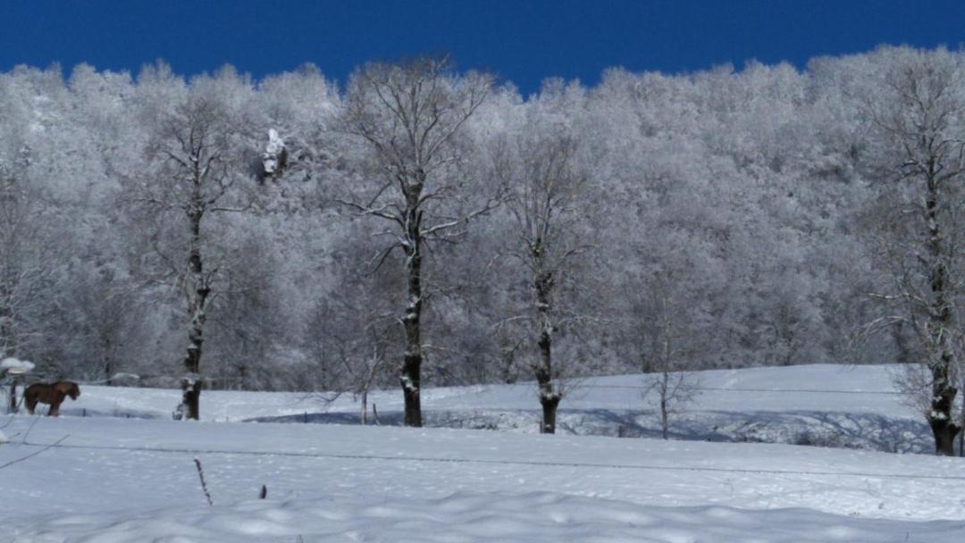 Photo of Others in Saint-Cernin