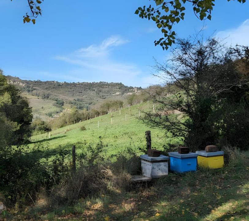 Photo of Others in Clairvaux-d'Aveyron
