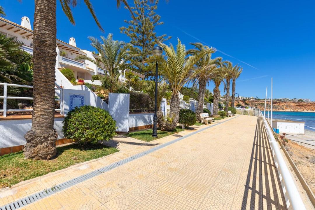 Photo of Others in Dehesa de Campoamor