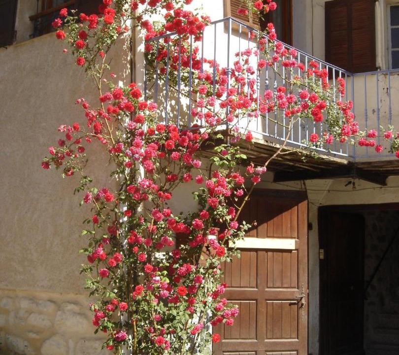 Photo of Others in Allos