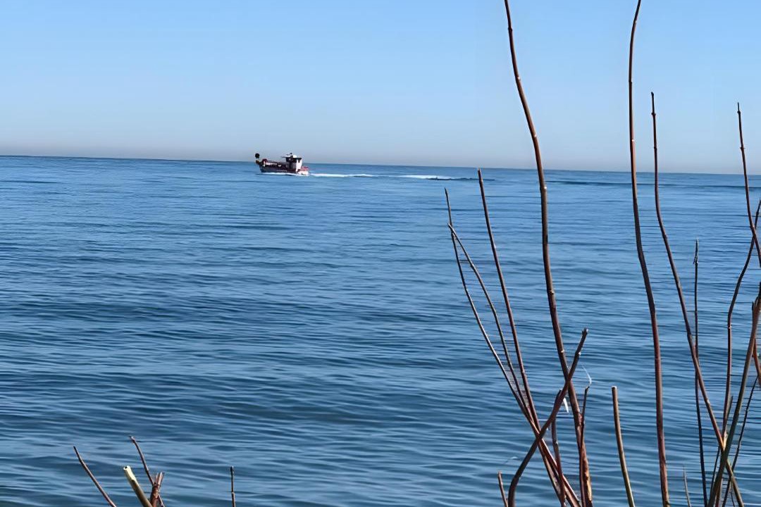 Photo of Others in Sainte-Marie-Plage