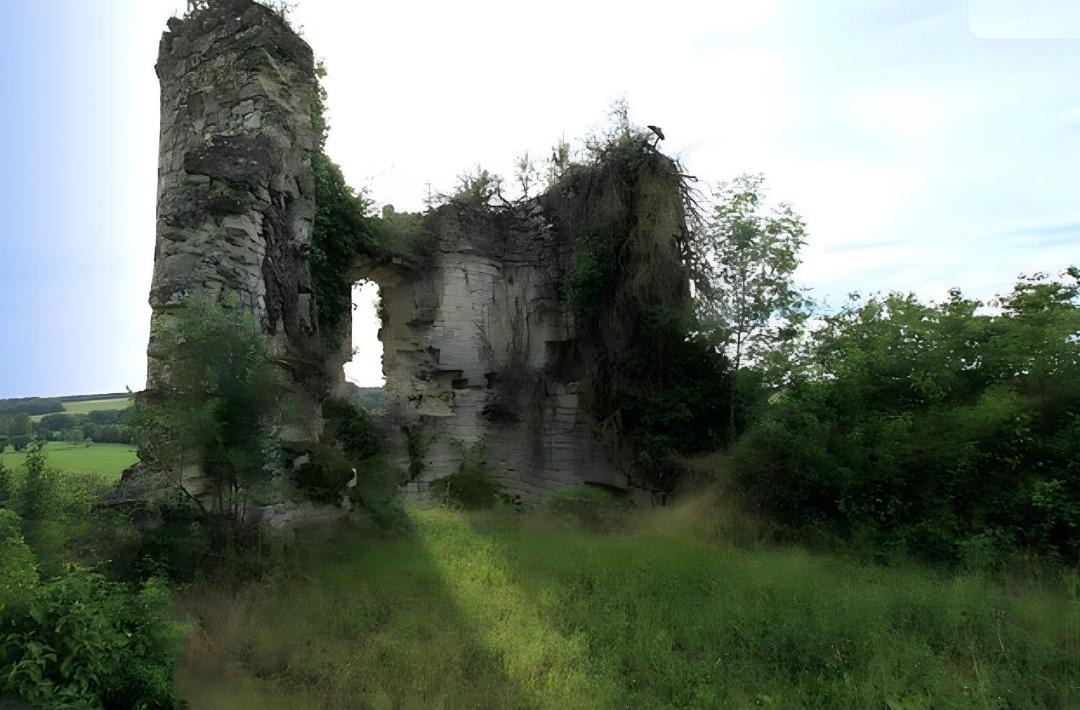 Photo of Others in Pardaillan
