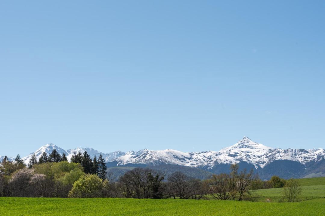 Photo of Others in Bagneres-de-Bigorre