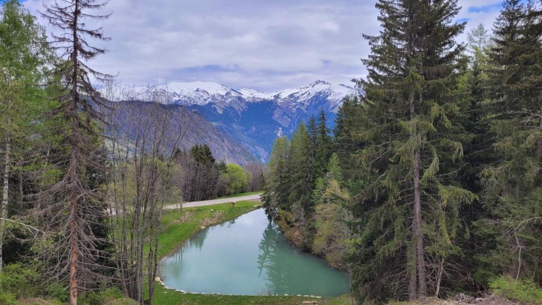 Photo of Others in Les Bottieres