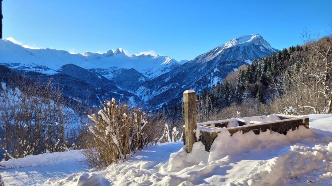 Photo of Others in Les Bottieres
