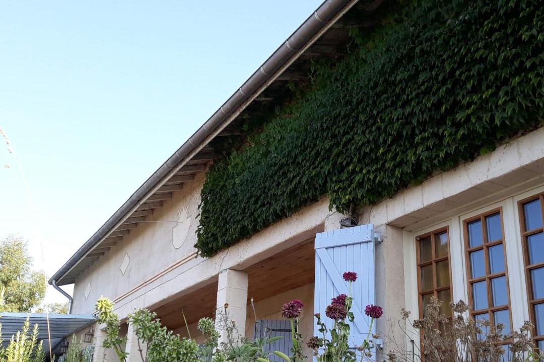 Photo of Others in Vignaux