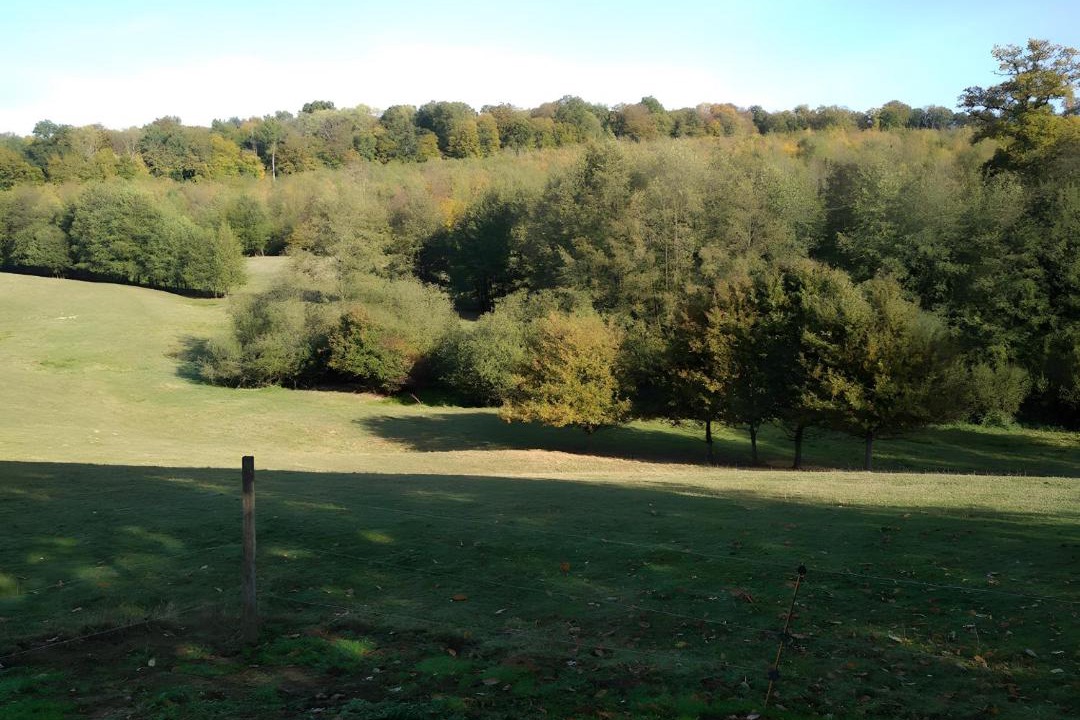 Photo of Others in Signy-lAbbaye