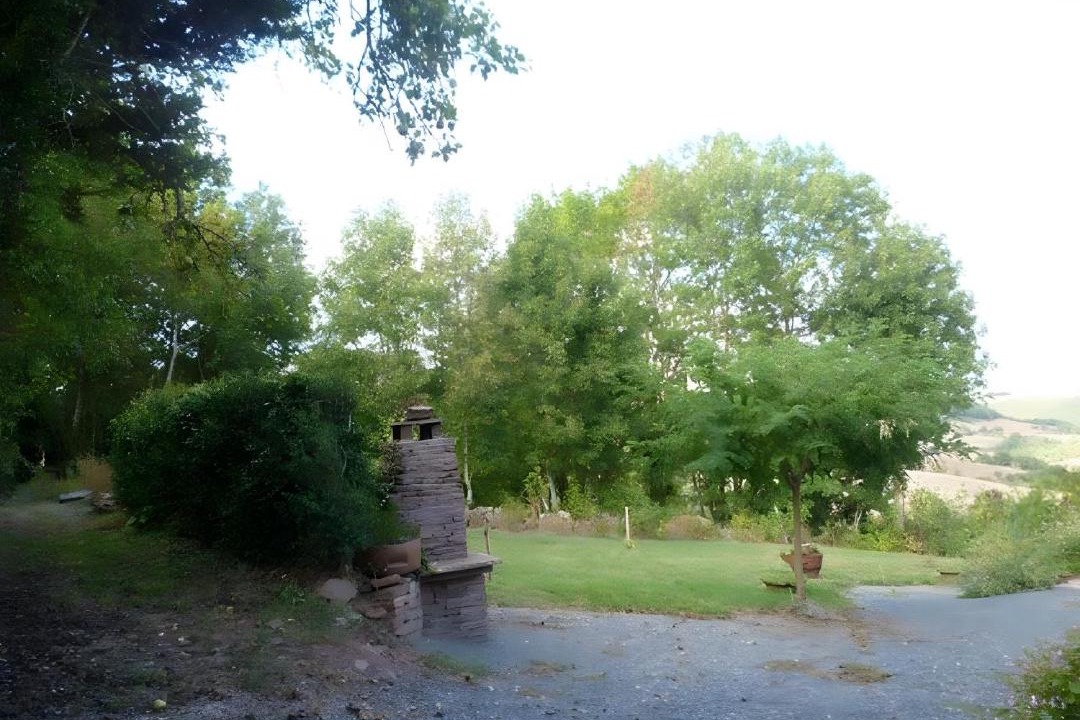 Photo of Others in Combret
