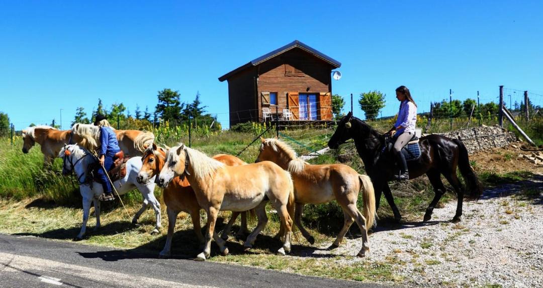 Photo of Others in L'Esperou