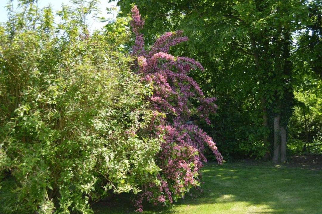 Photo of Outdoor in Seux