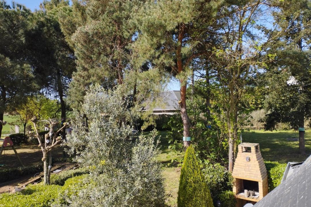 Photo of Others in Beaufort-en-Anjou
