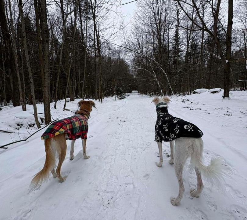 Photo of Others in Bromont