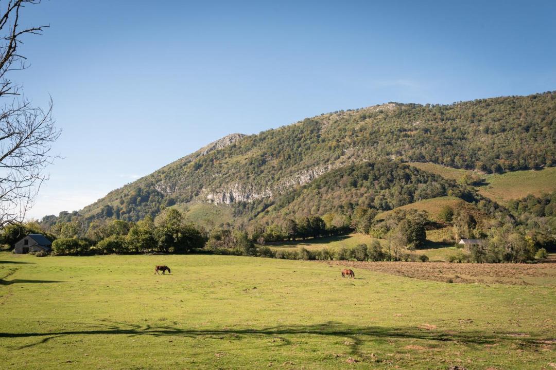 Photo of Others in Castet
