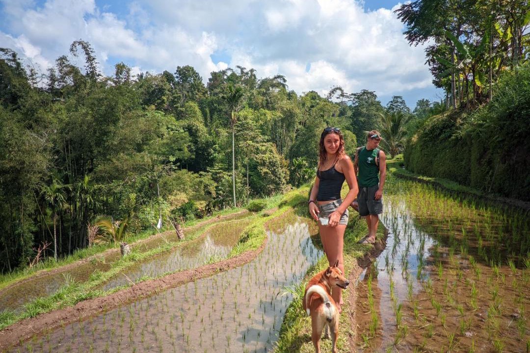 Photo of Others in Tetebatu