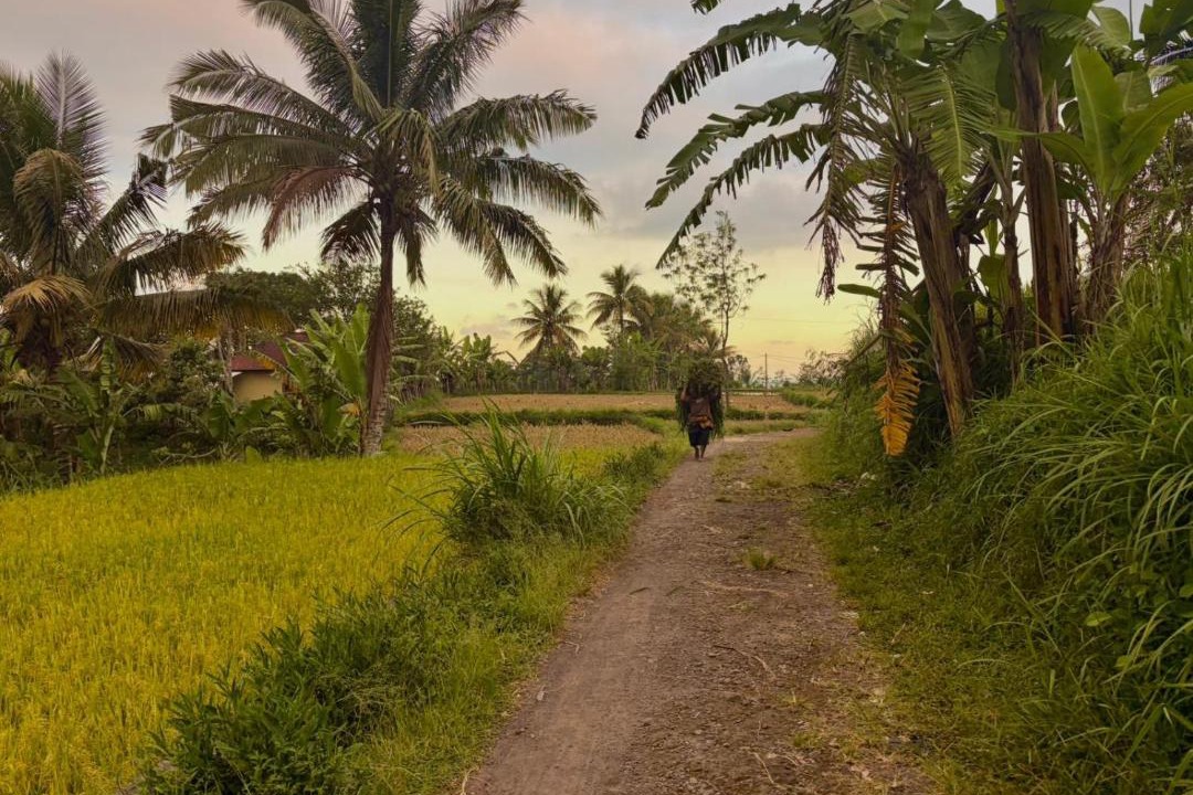 Photo of Others in Tetebatu