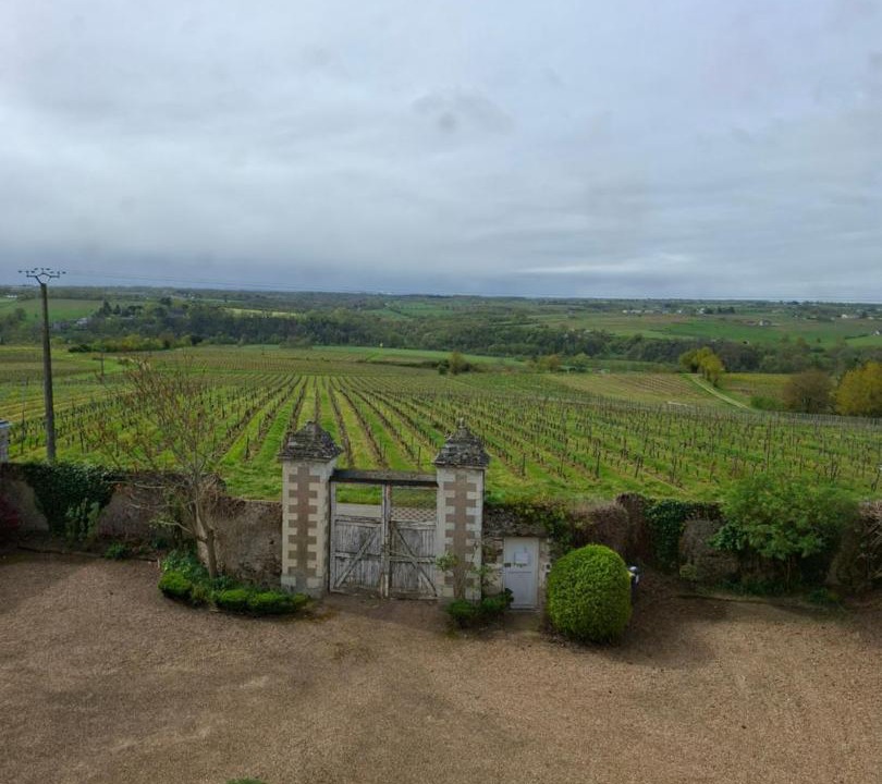Photo of Others in Val-du-Layon