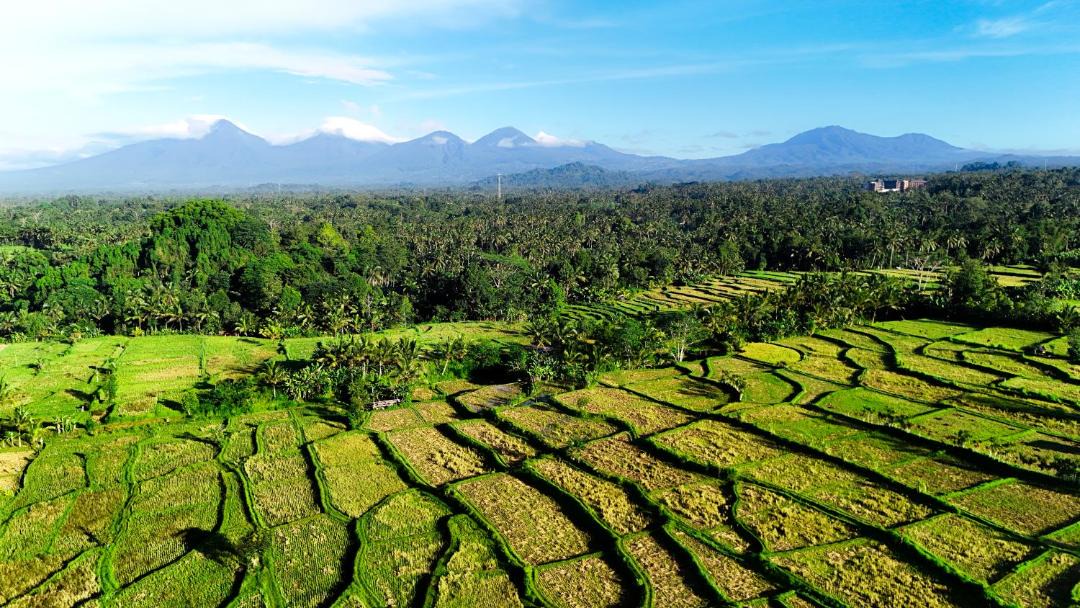 Photo of Others in Payangan
