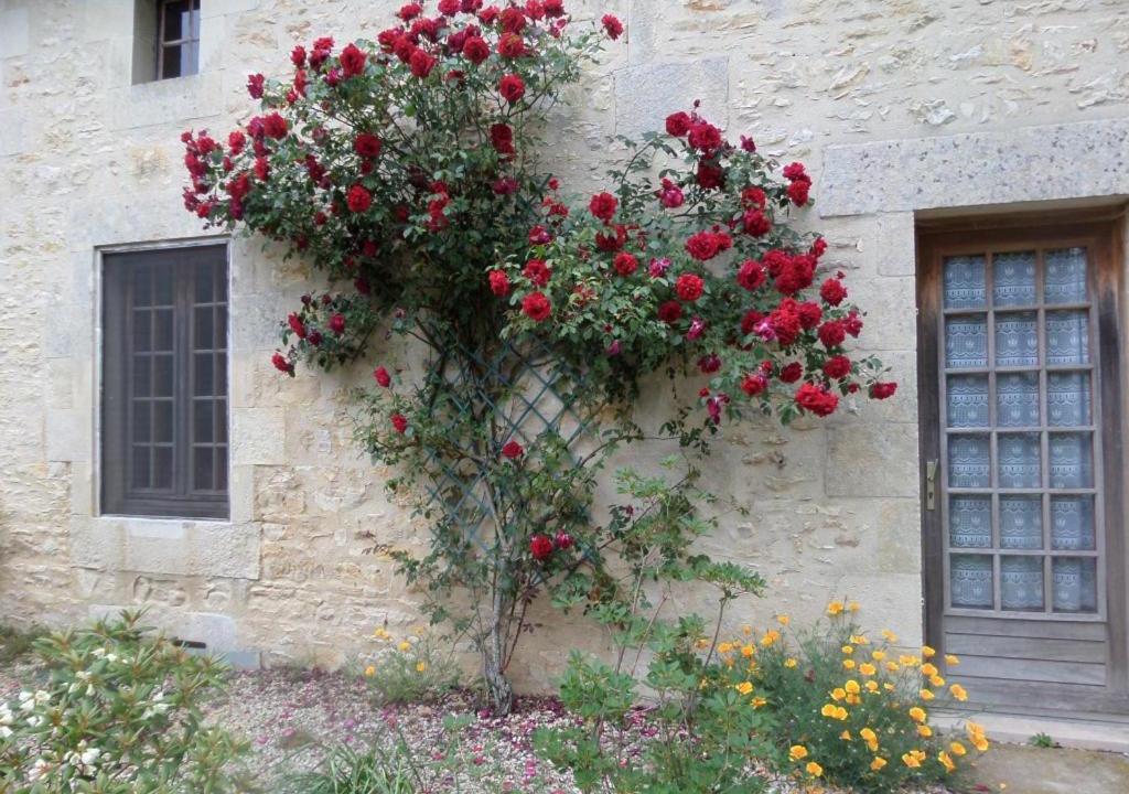 Photo of Others in Romagne