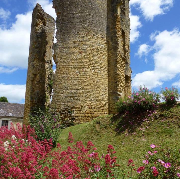 Photo of Buildings in Sainte-Alvere