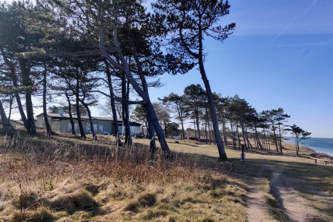 Photo of Others in Smidstrup Strand
