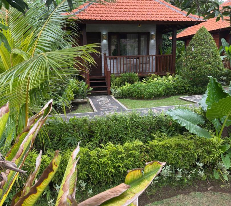 Photo of Others in Mushroom Bay