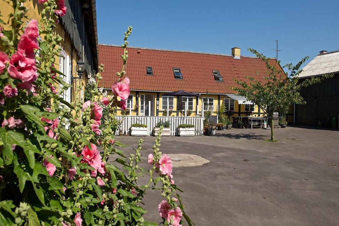 Photo of Others in Spidsegard