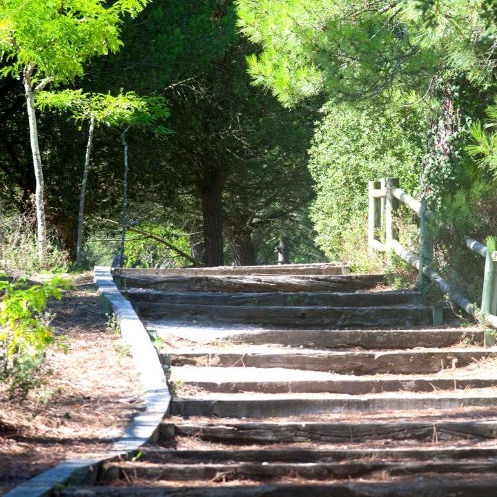 Photo of Others in Carcans Plage