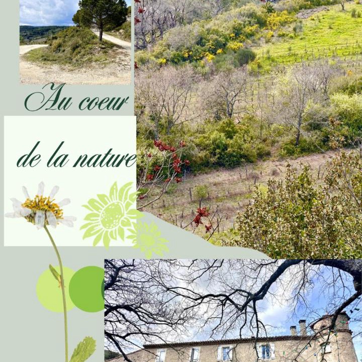 Photo of Others in Conques-sur-Orbiel