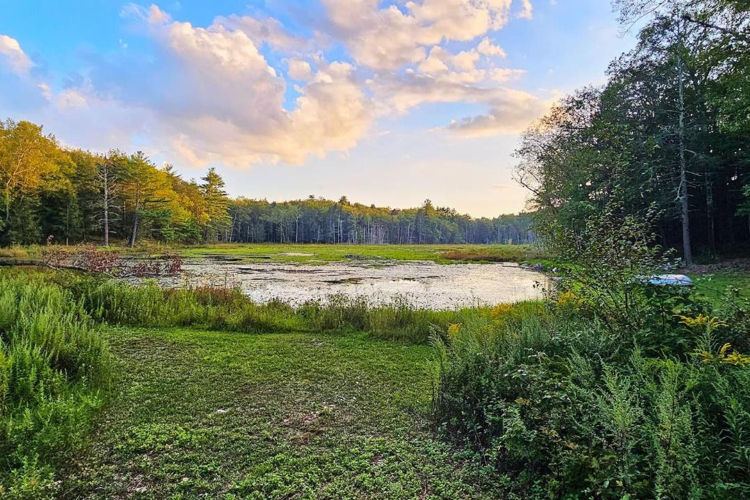 Photo of Others in Cuddebackville