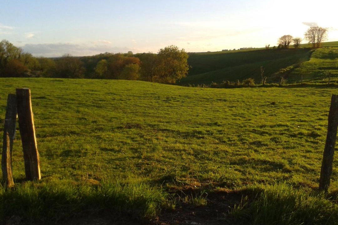 Photo of Others in Tartiers