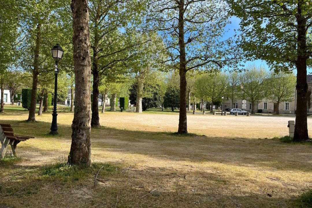Photo of Others in Les Ormes