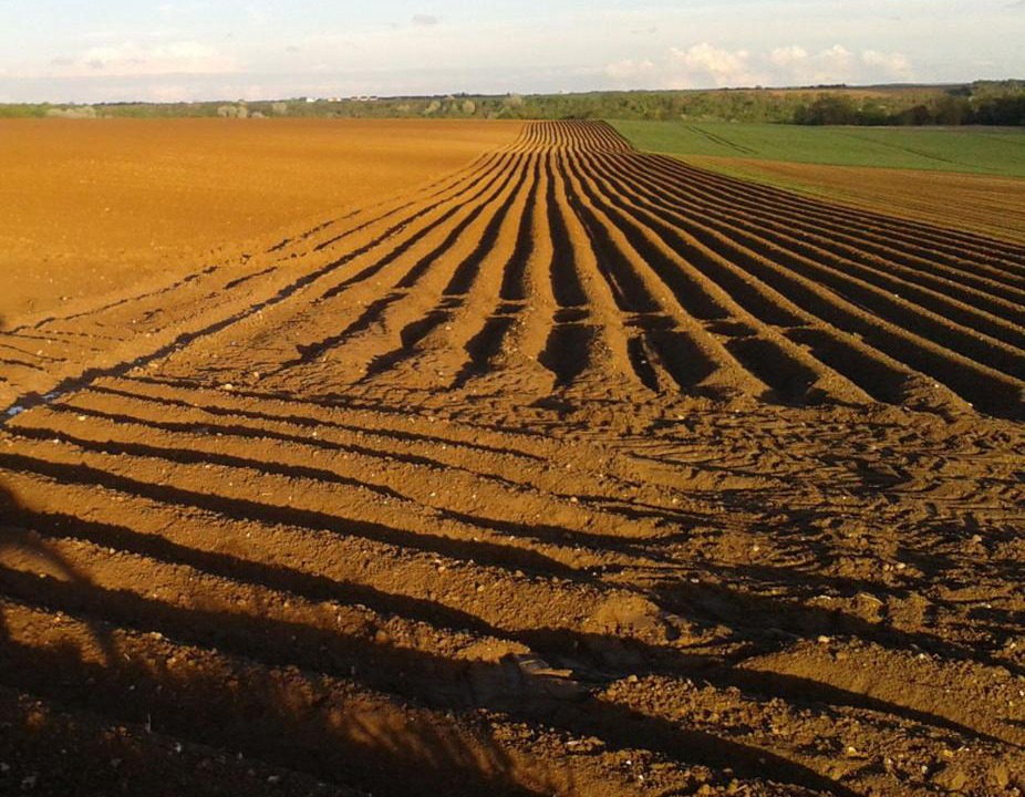 Photo of Others in Tartiers