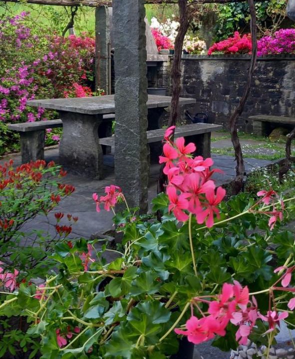 Photo of Outdoor in Golino