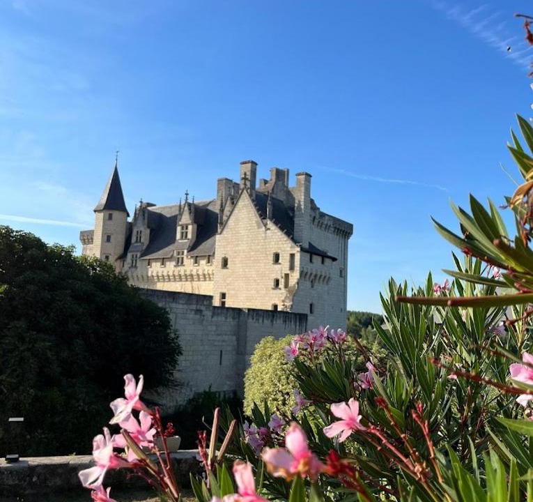 Photo of Others in Montsoreau