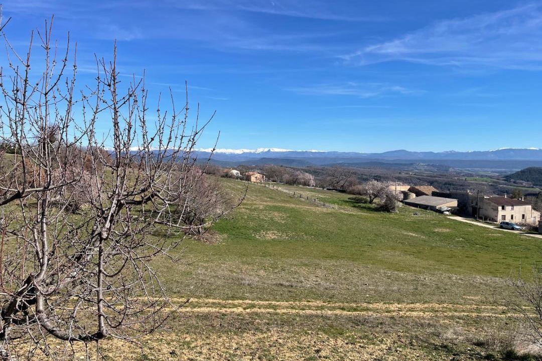 Photo of Others in Forcalquier