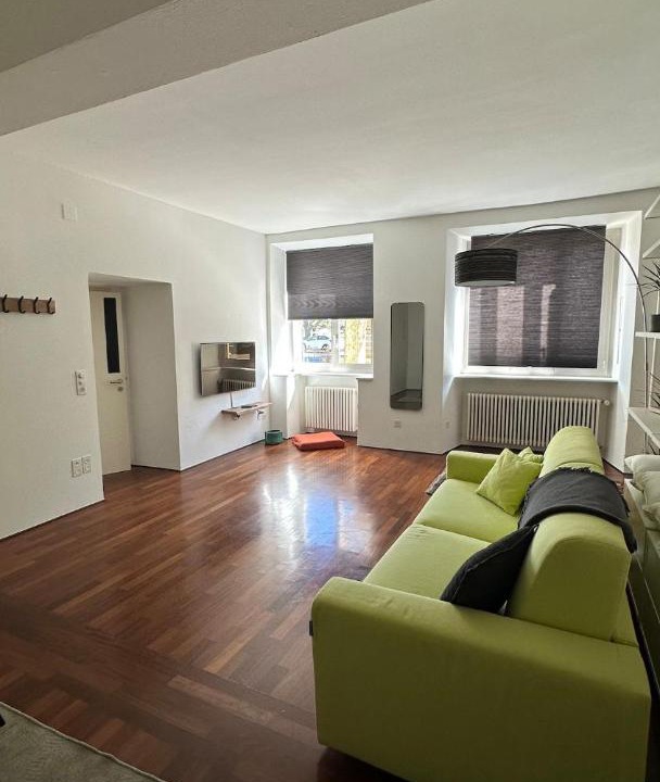 Photo of Livingroom in Tenero-Contra