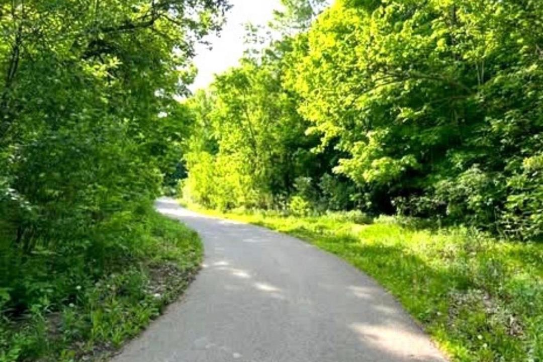 Photo of Others in Vaughan