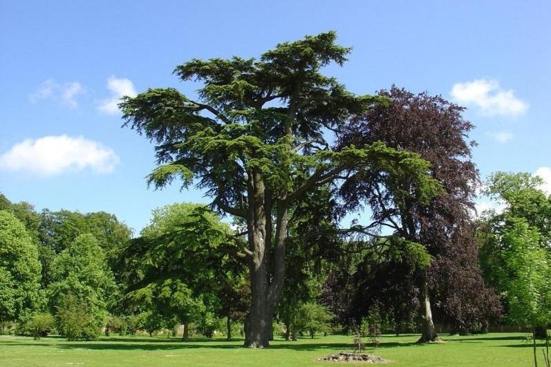 Photo of Others in Tourville-sur-Arques