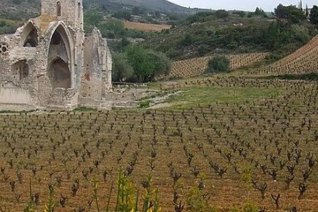 Photo of Others in Portel-des-Corbieres