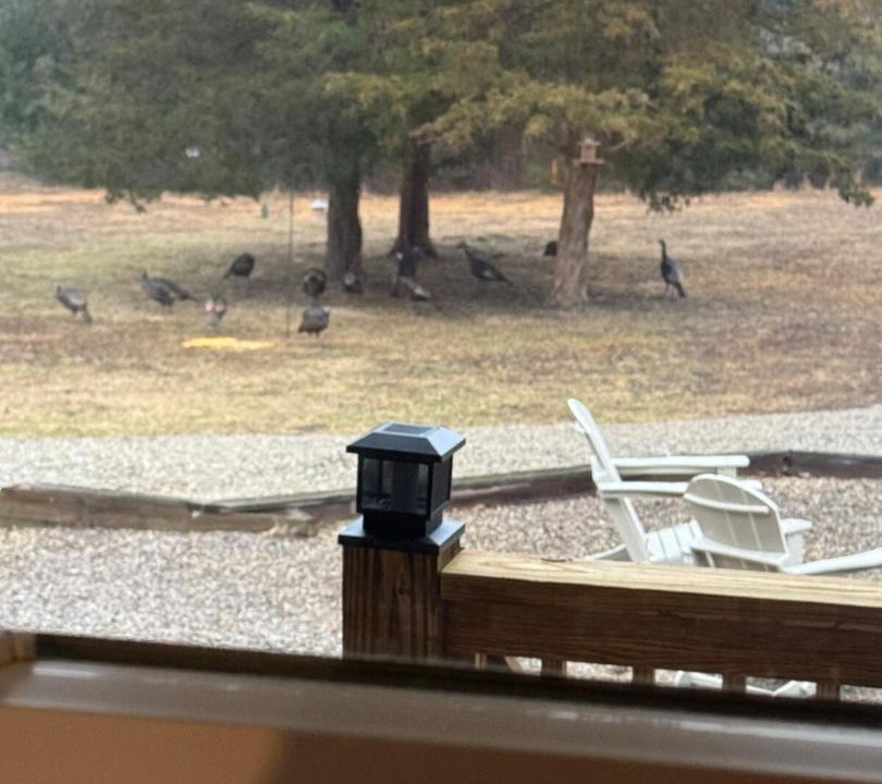 Photo of Others in Fredericktown