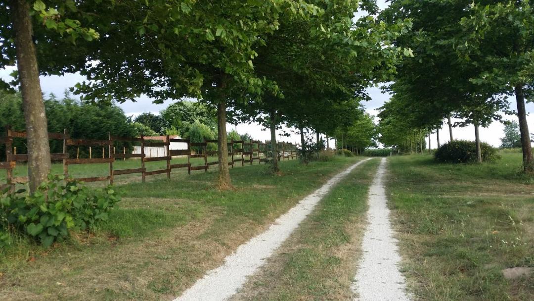 Photo of Others in La Gripperie-Saint-Symphorien