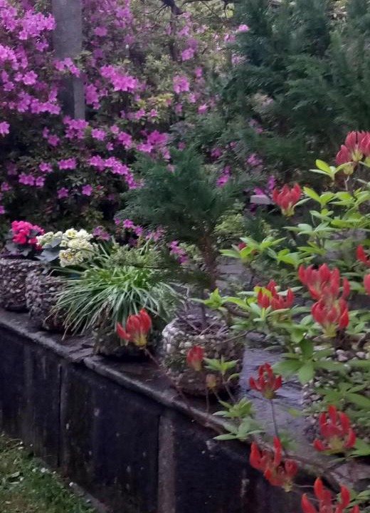 Photo of Outdoor in Golino