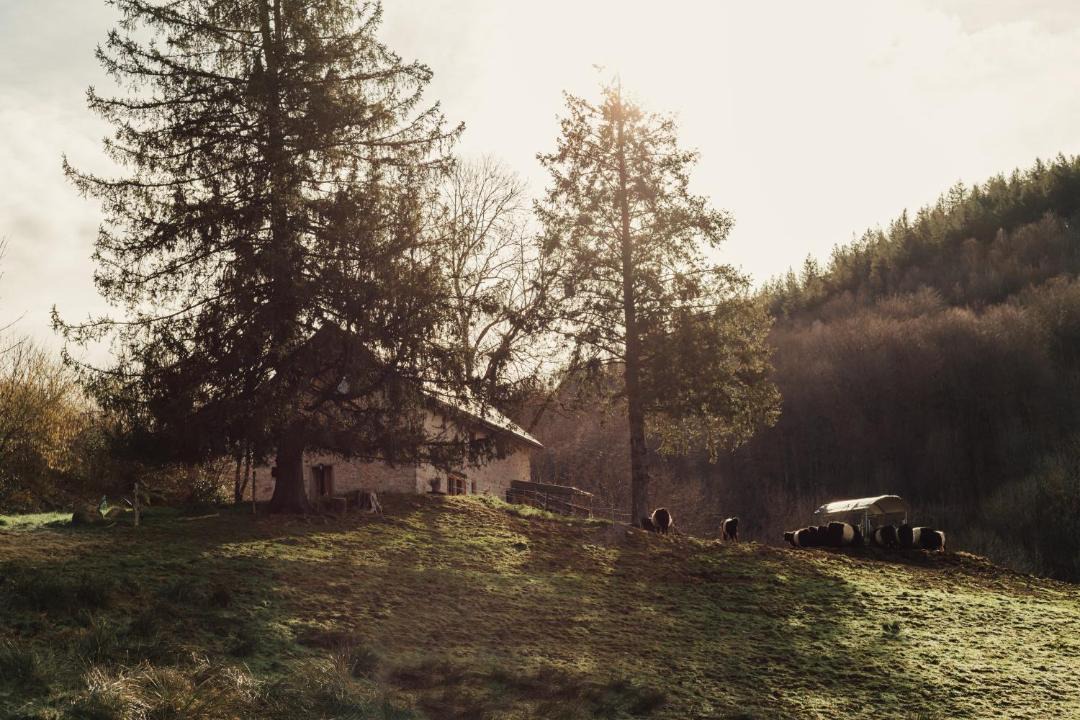 Photo of Others in Boussenac