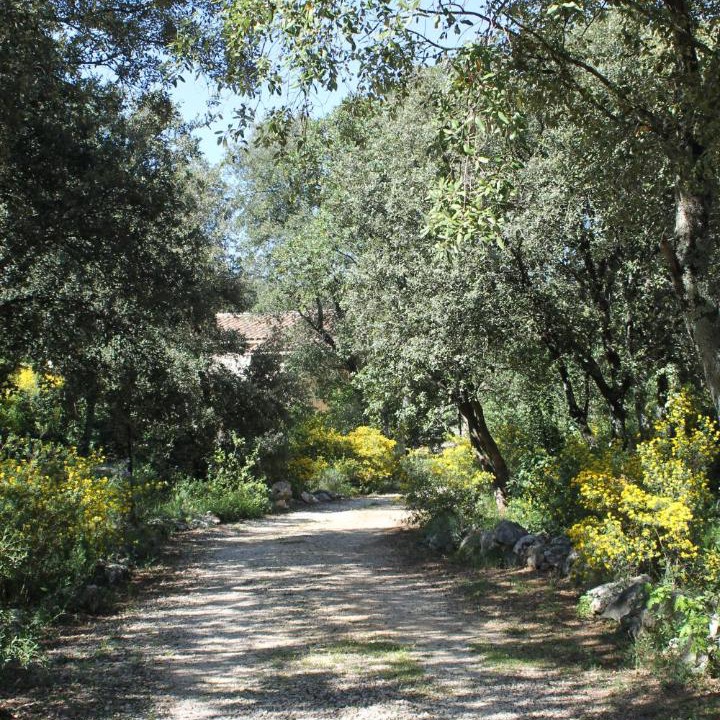 Photo of Outdoor in Saint-Siffret