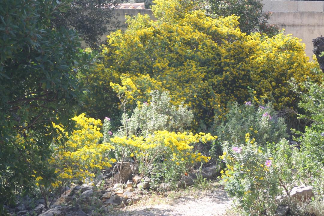 Photo of Outdoor in Saint-Siffret