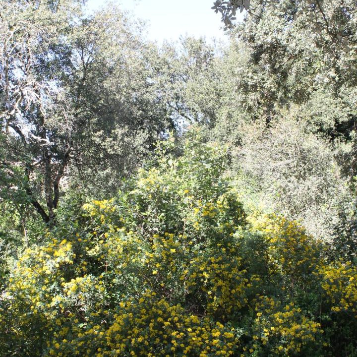 Photo of Outdoor in Saint-Siffret