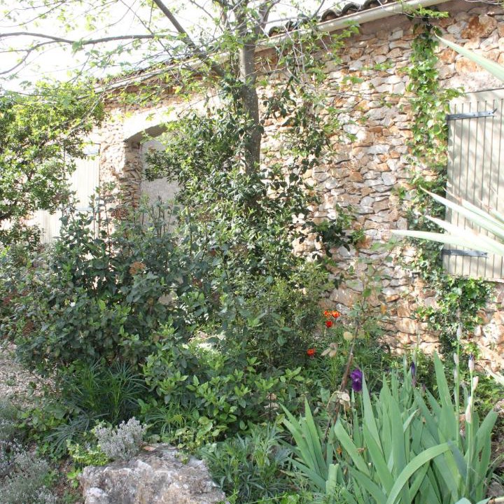 Photo of Others in Saint-Siffret